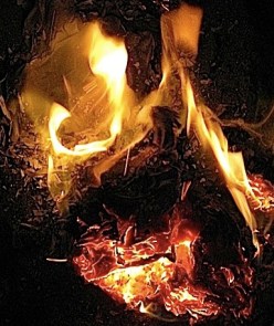 fire bouquet 7_JT_sm