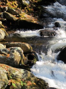 Smokies, photo by Jan Thomas