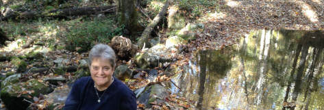 Panorama_of_JT_by_Stream copy